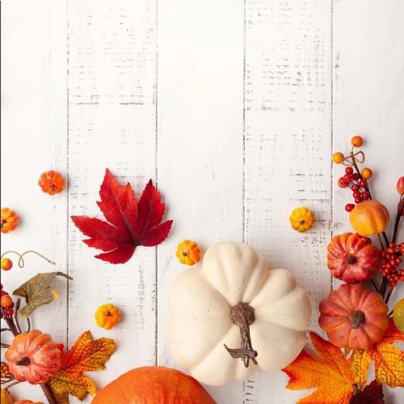 Meet your Posher, Tara - Picture 2 of 3